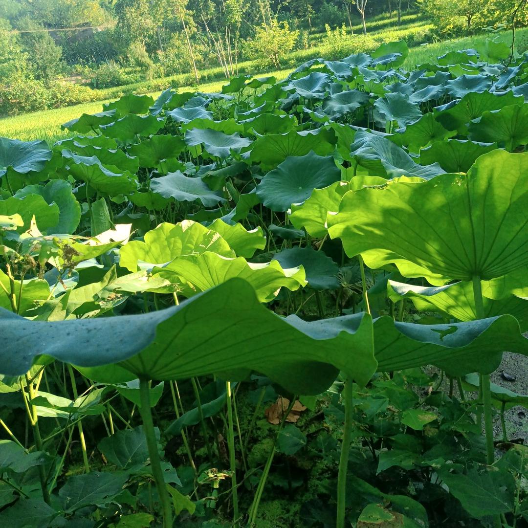 🦹¹ᶟ₁₄不江就人人平邓₅₂₀💞࿐