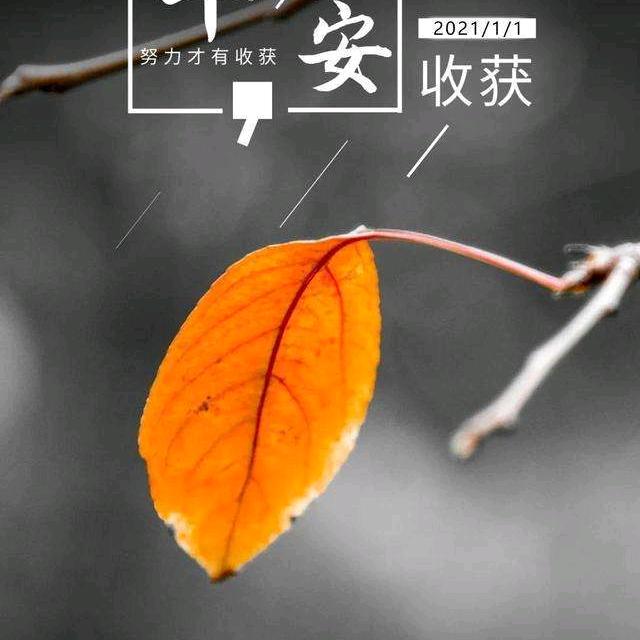 老赵😂看短剧