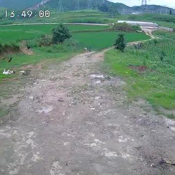 秋天恋爱最合适