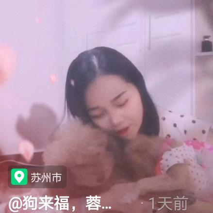 狗来福，蓉儿…