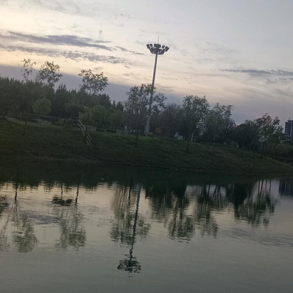 抬头望月