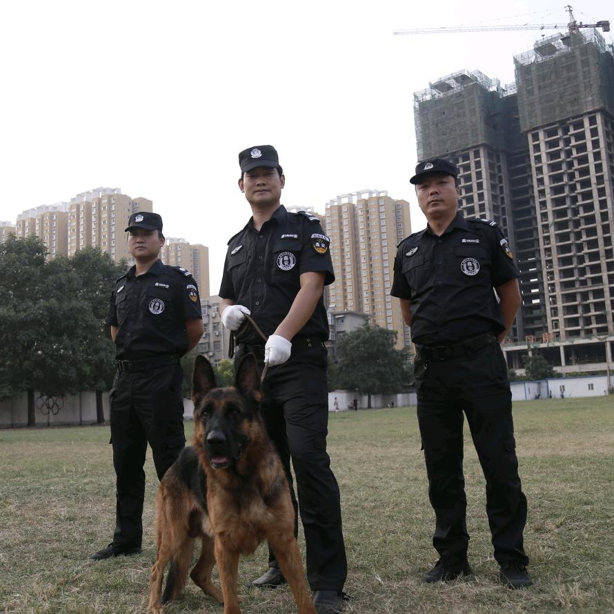 平顶山鑫安科技防控有限公司