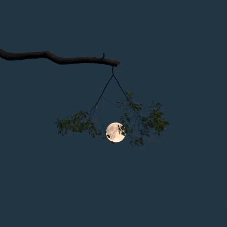 捣药的兔子