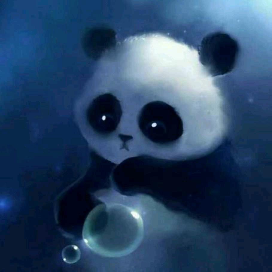 清风明月