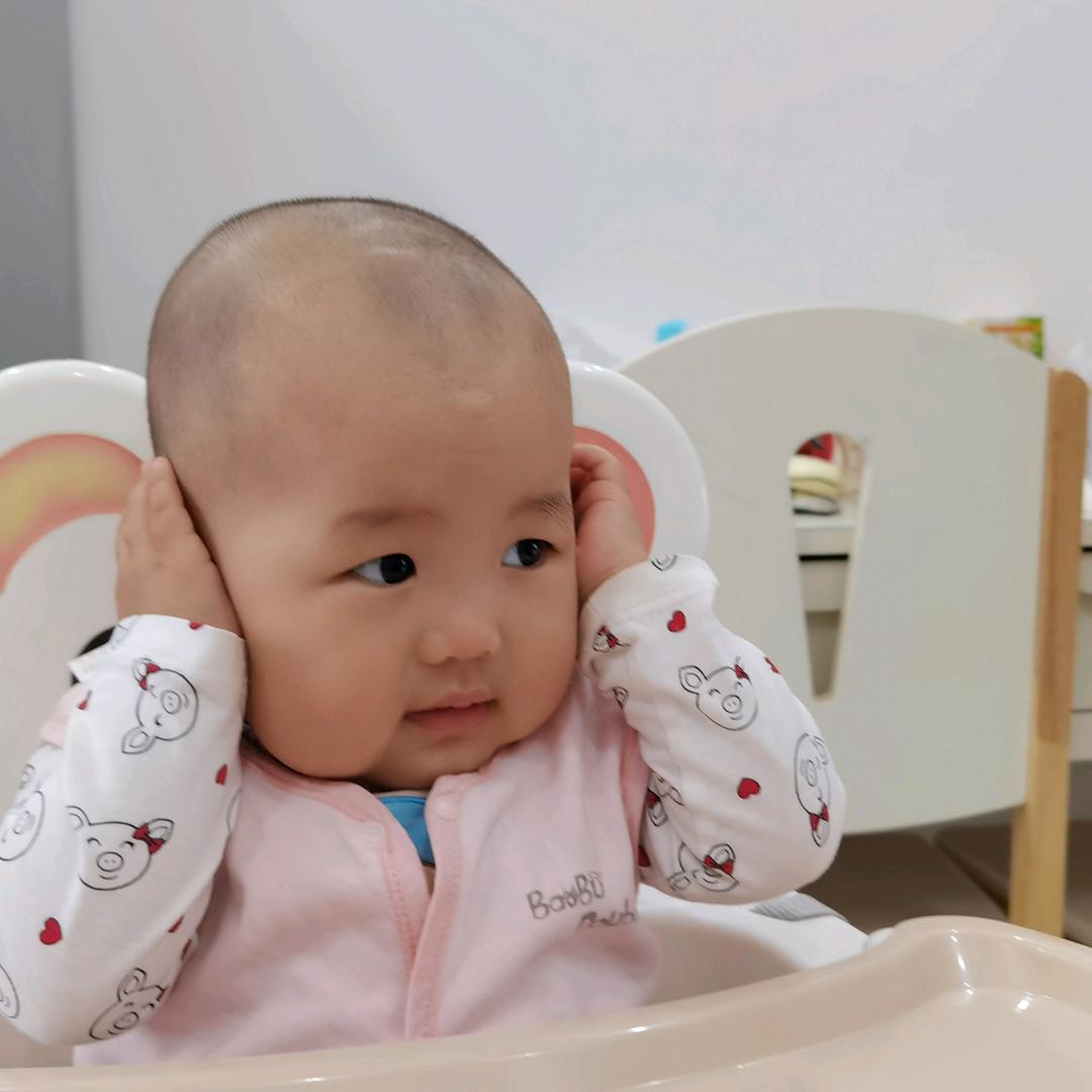 小桐语