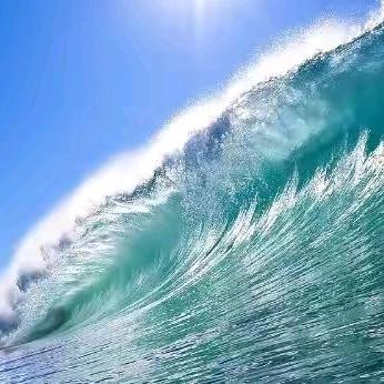 海的味道