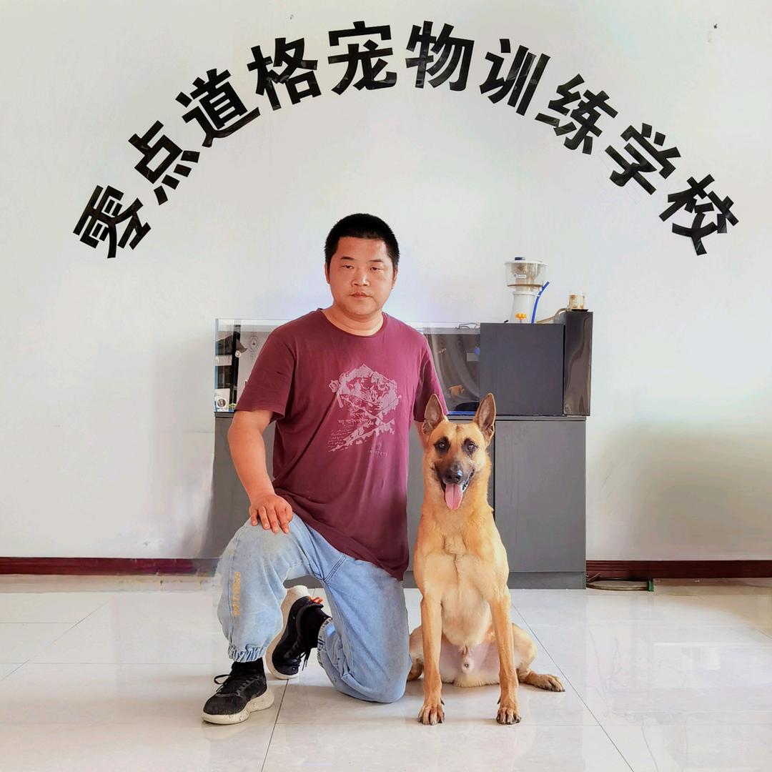 北京零点道格宠物寄养训犬学校