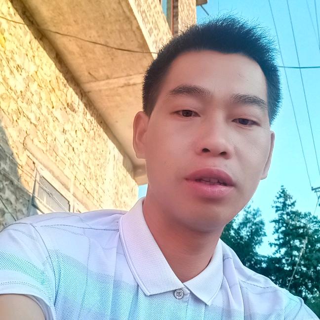 销售正宗六马蜂糖李苗