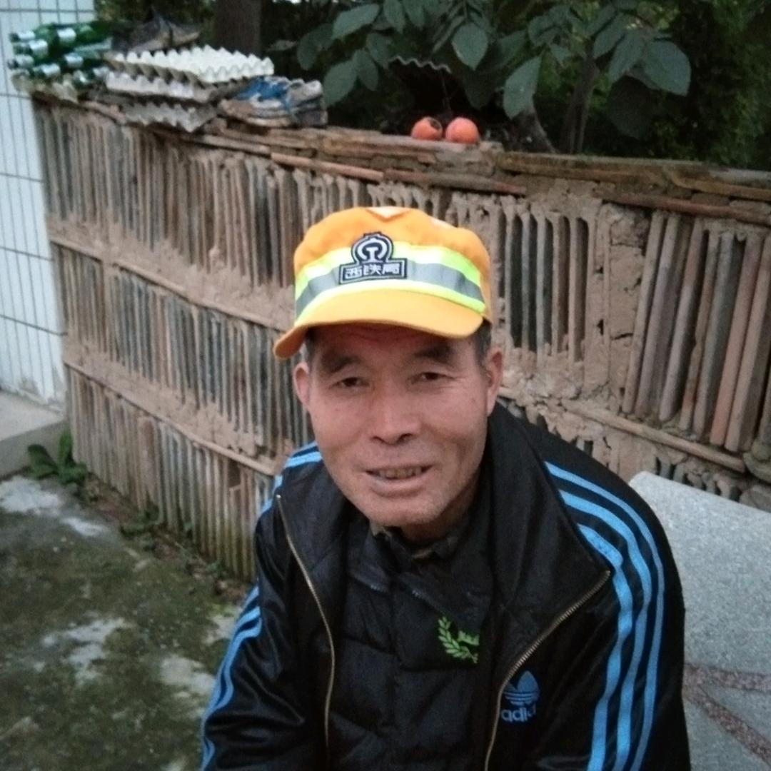‘白文新