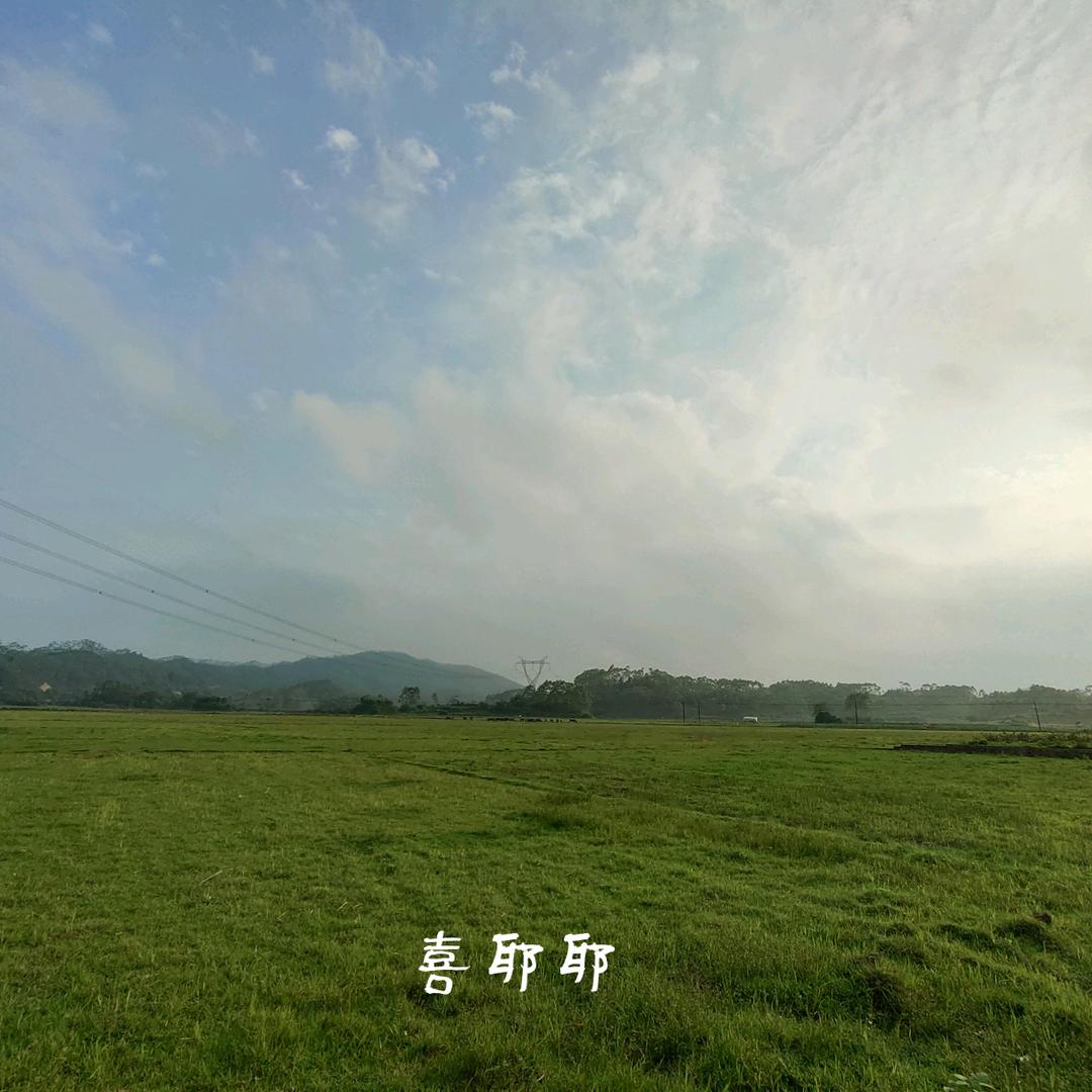 虾仁炒饭