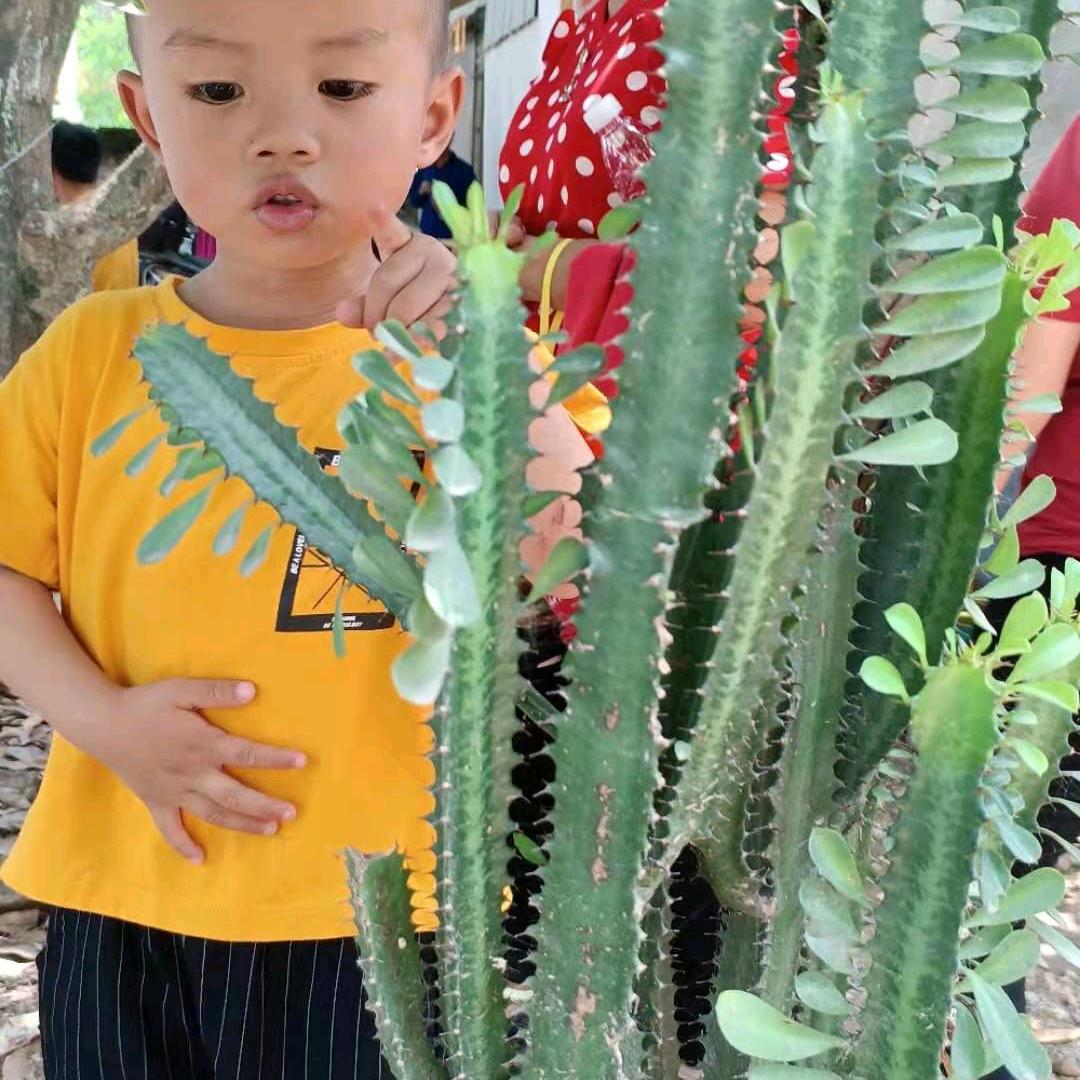 汤