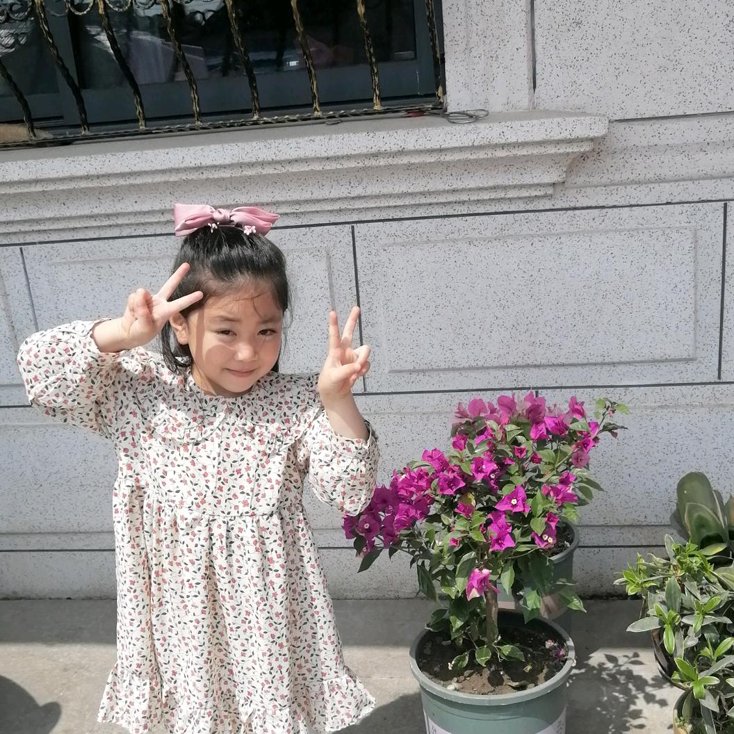 一朵花