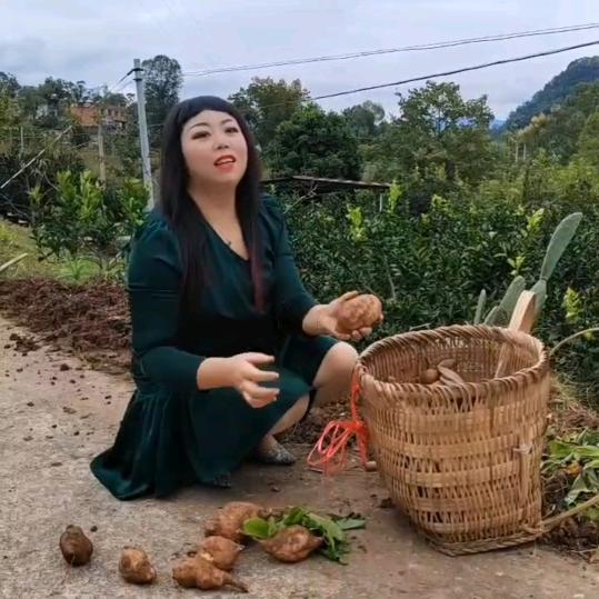 单身，小燕子