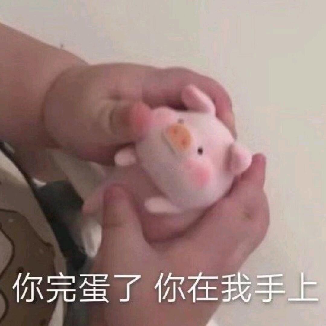 春城看雪