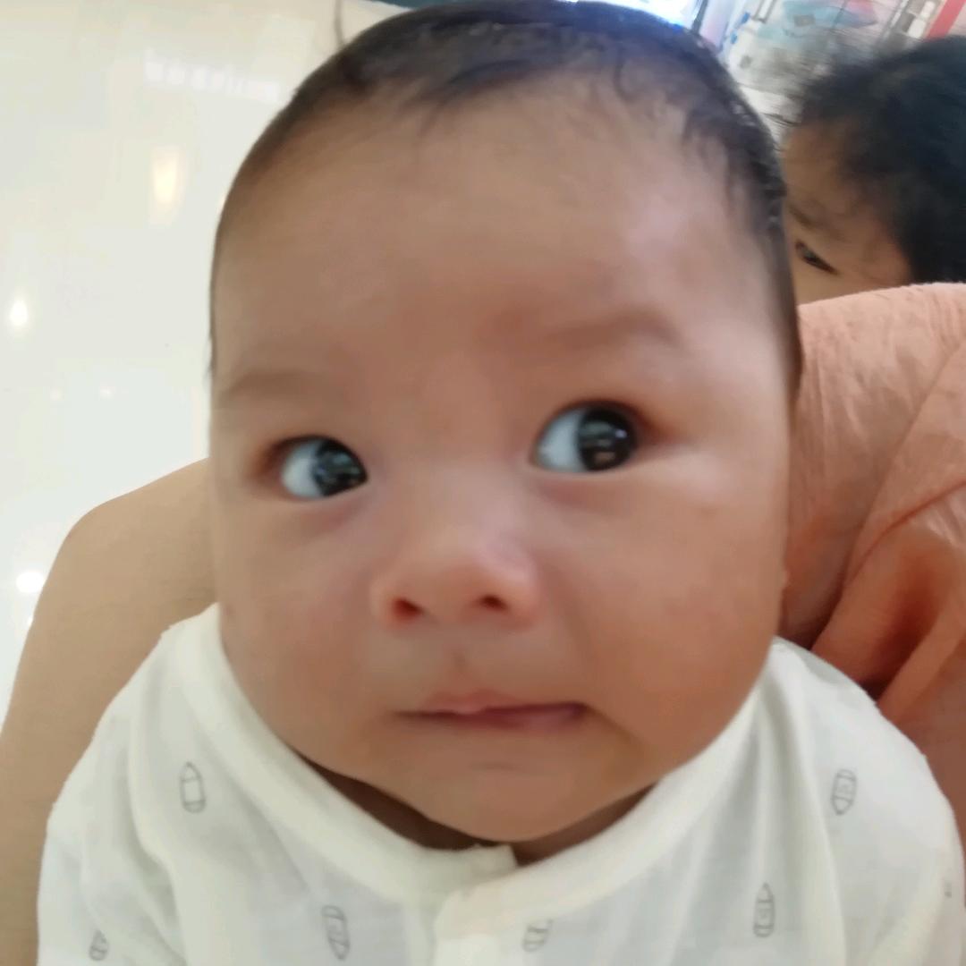 小黑牛