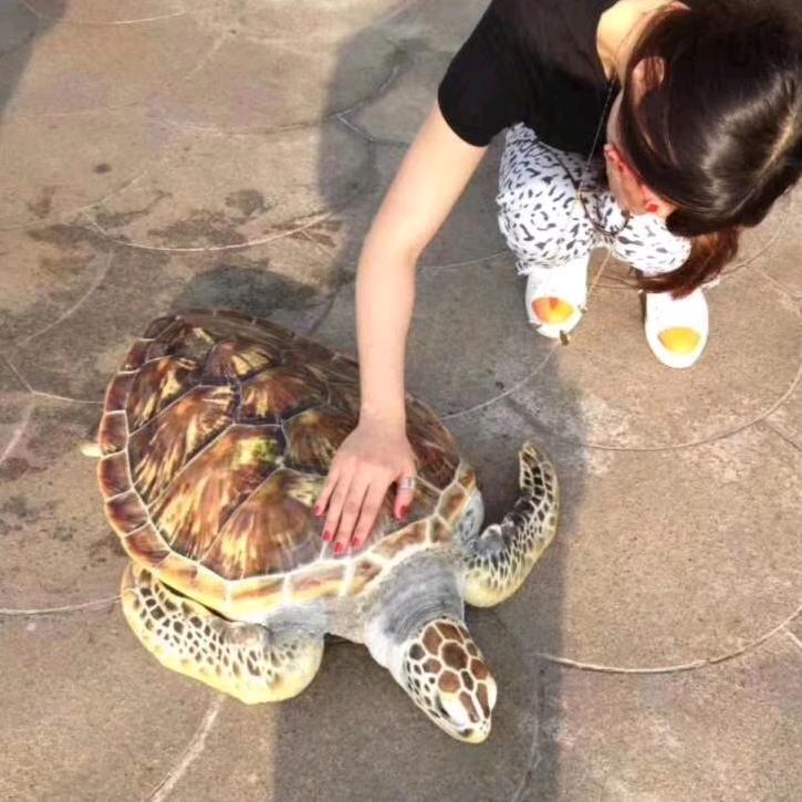 74终生素食者