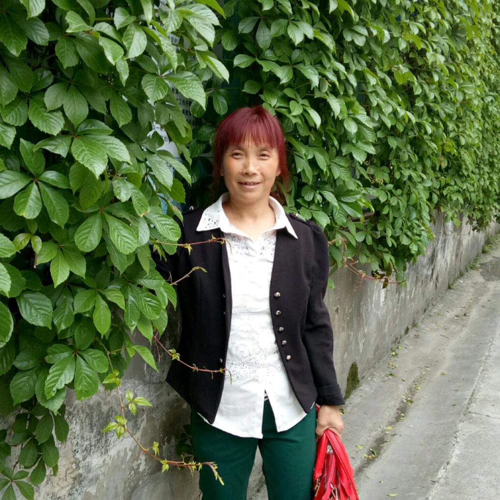 kang shibi
