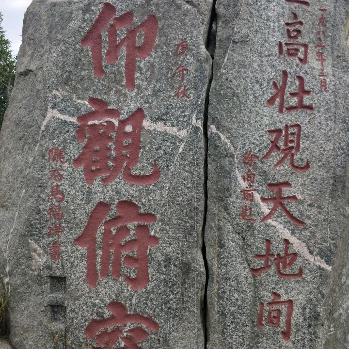 承接各种废纸