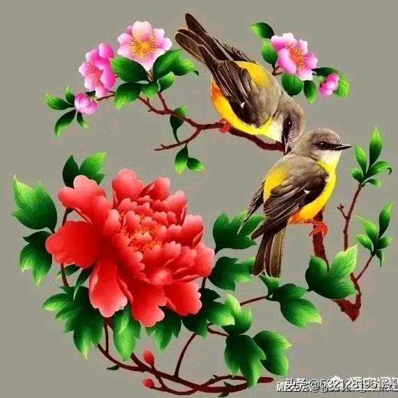 开心的小姐姐