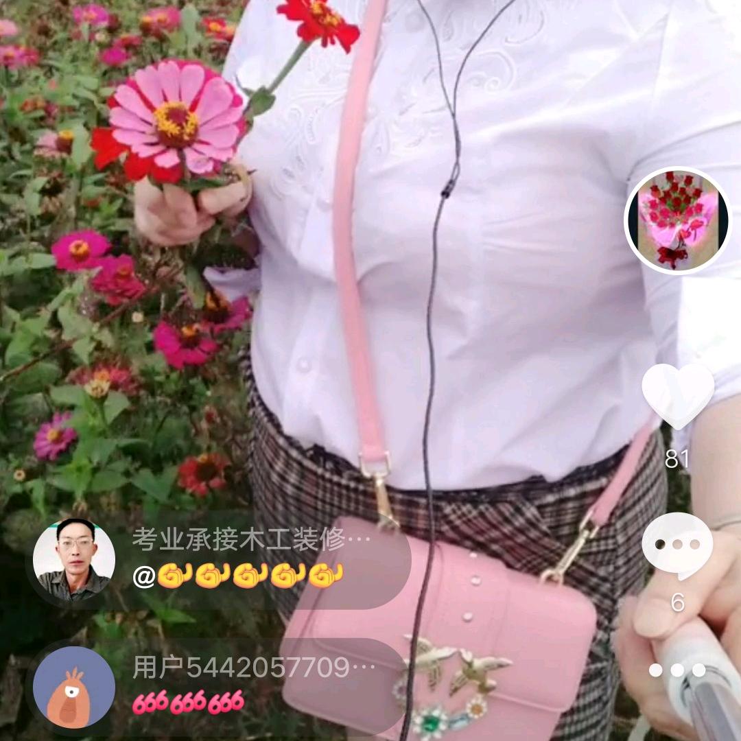 疯子不疯，傻子不傻我是看川不说川