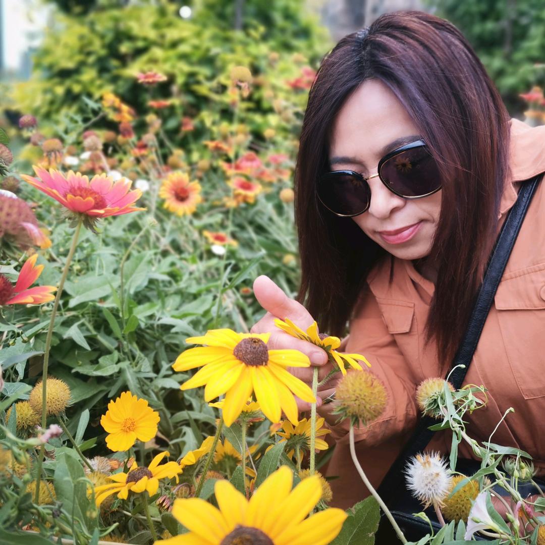 花儿一样幸福