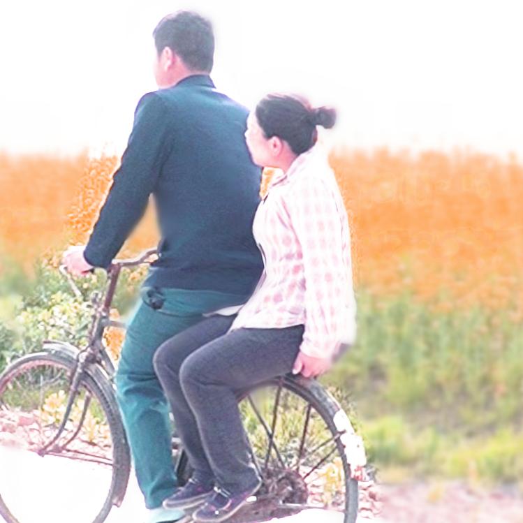 归乡（废柴兄）@抖音