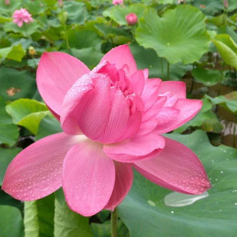 专业抹灰及保温