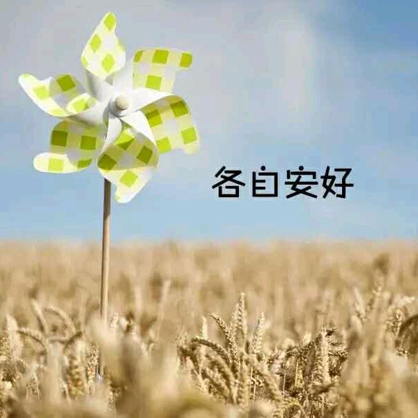 蓝天❤️🎈🌸