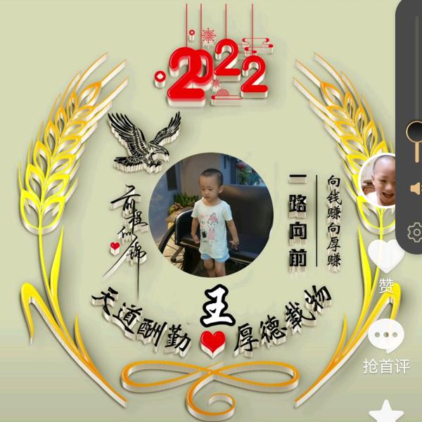 自由飞翔
