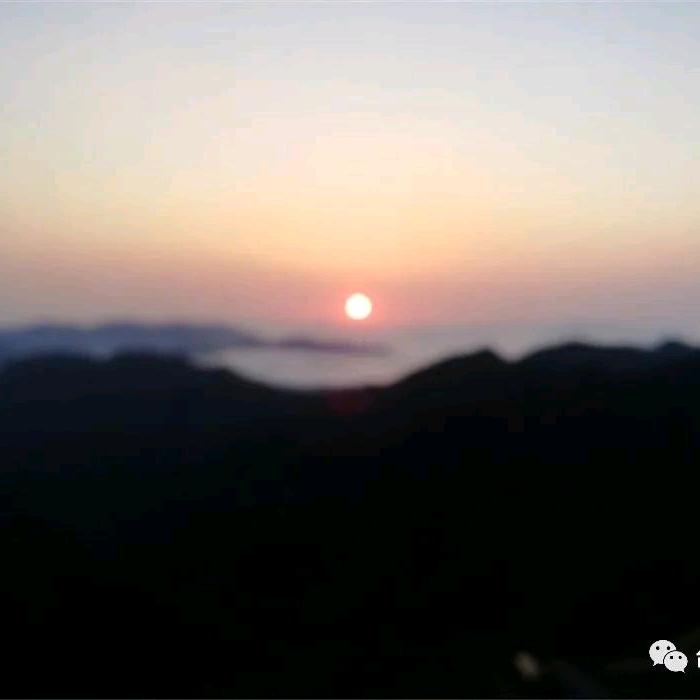 走马扬鞭