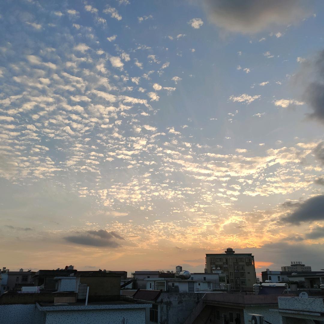 暂时静止头像
