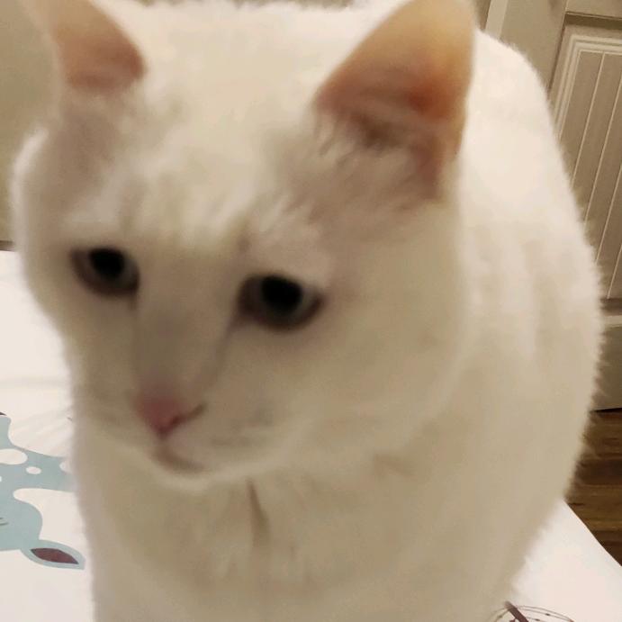 颜ᝰꫛꫀꪝ