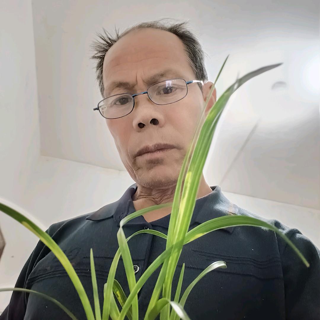 赖木工