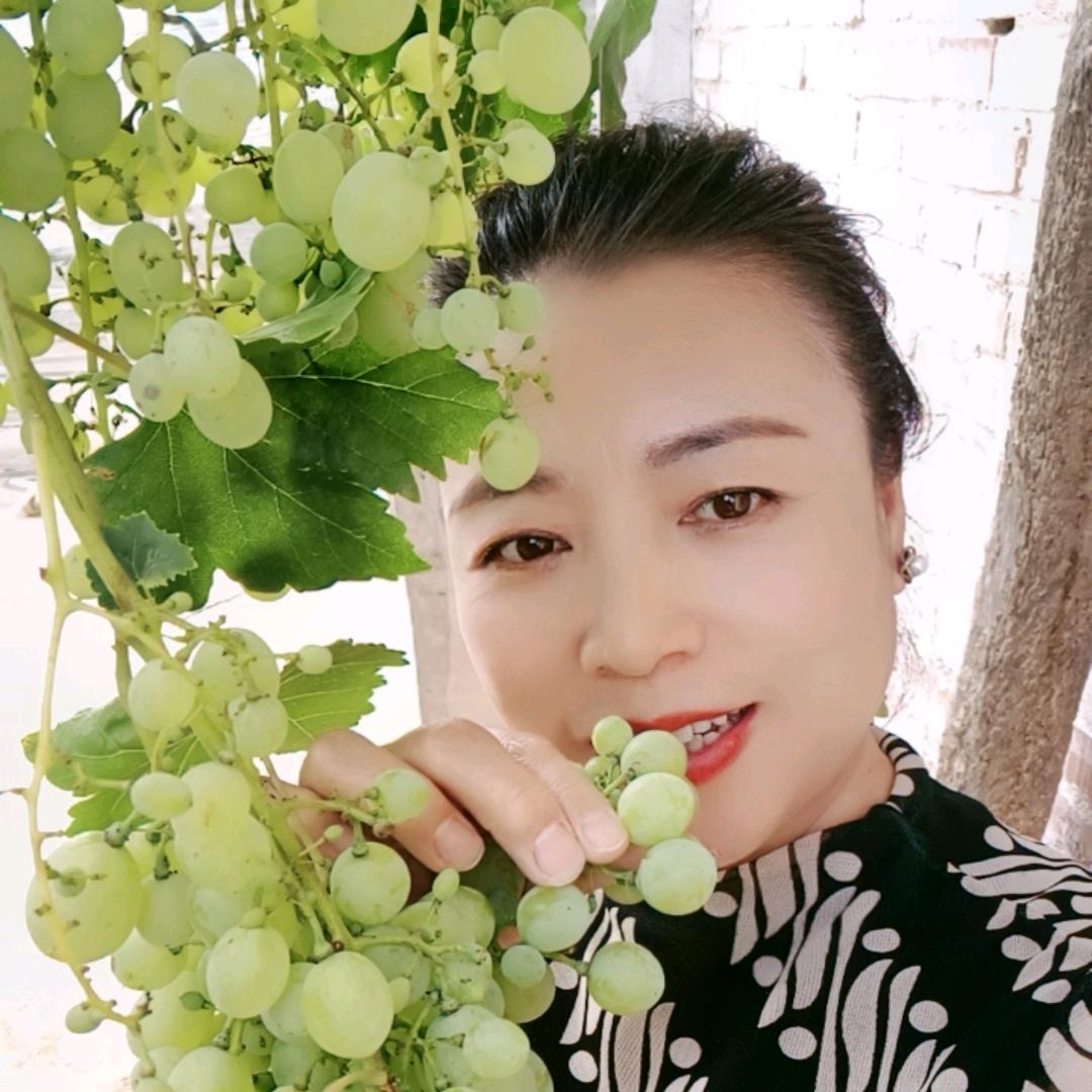 超越姐