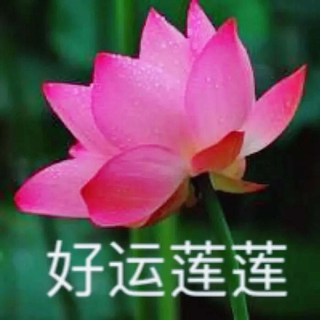 @随风飘扬