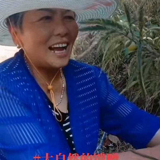 云南杨大姐