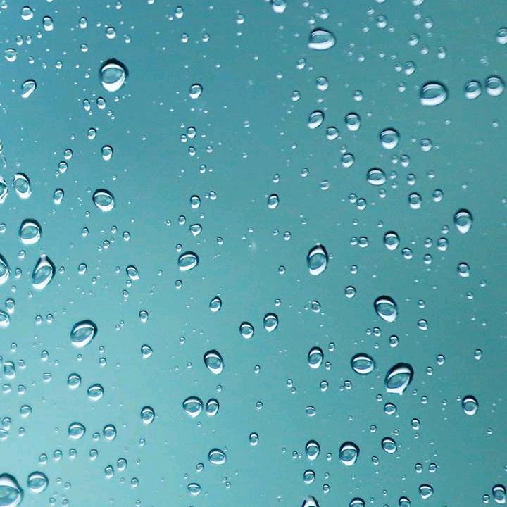 宁愿为你付出一切