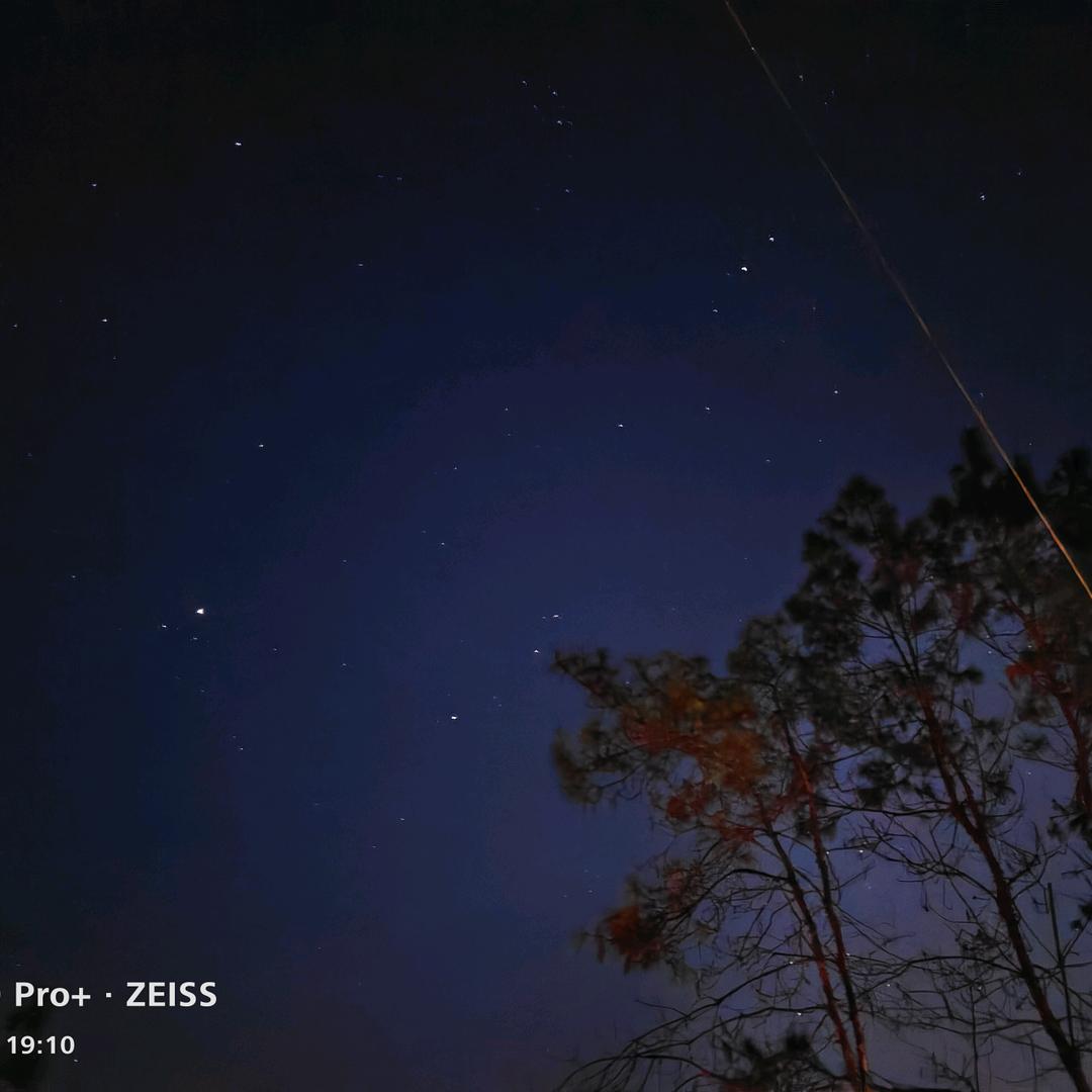 强哥~带你吃喝玩乐