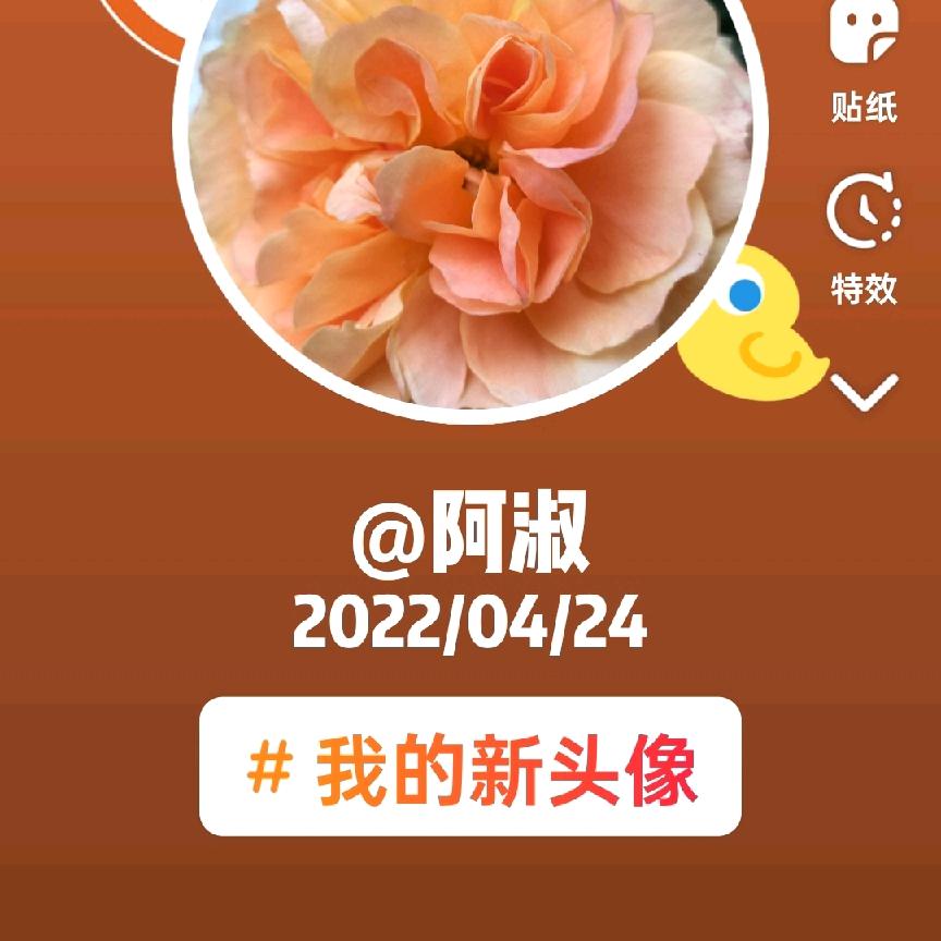阿淑