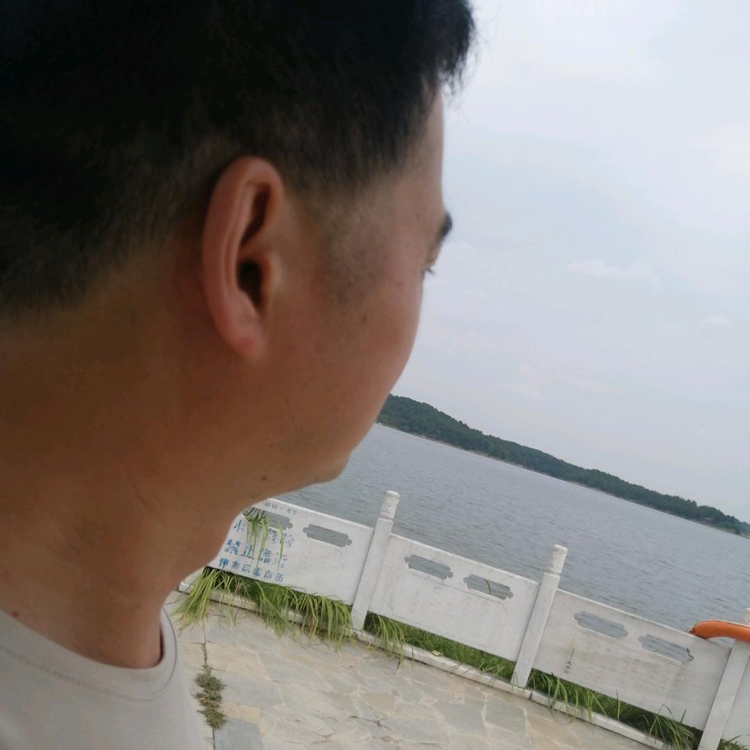 魏刚79