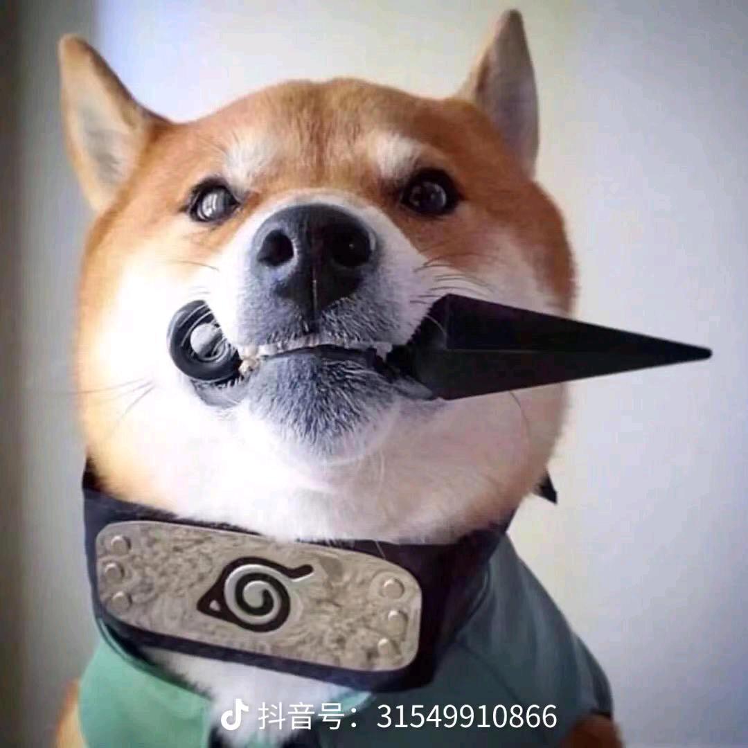 开封系统门窗张哥/阳光房