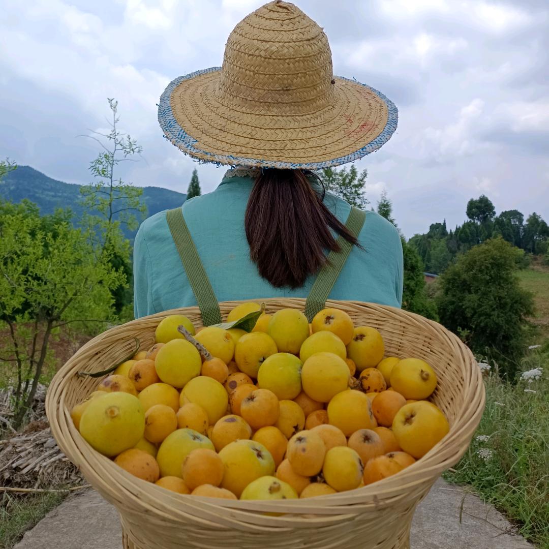 花小姐.
