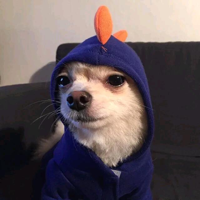 妩媚的派大星