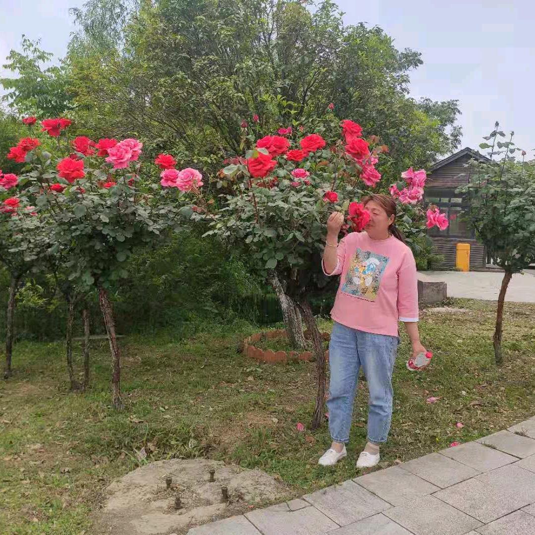 我就是我3264