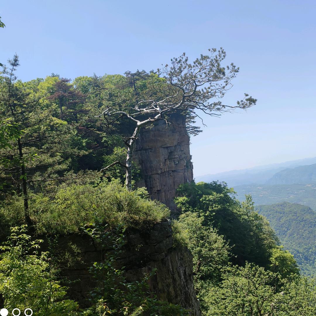 打工仔！奋斗人生