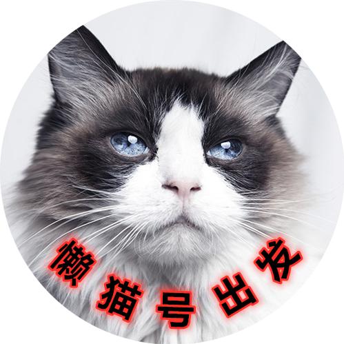 懒猫号出发