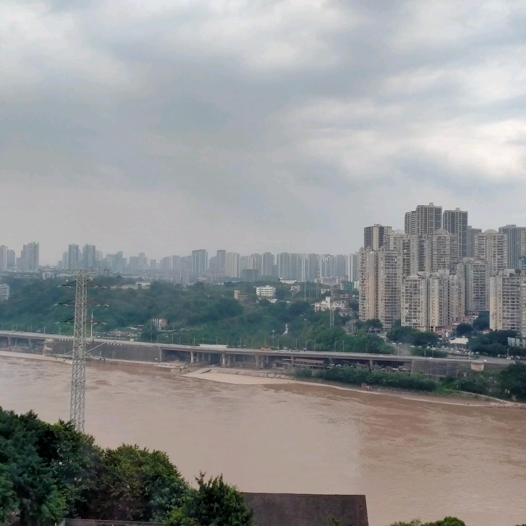 🐶开心每一天哦