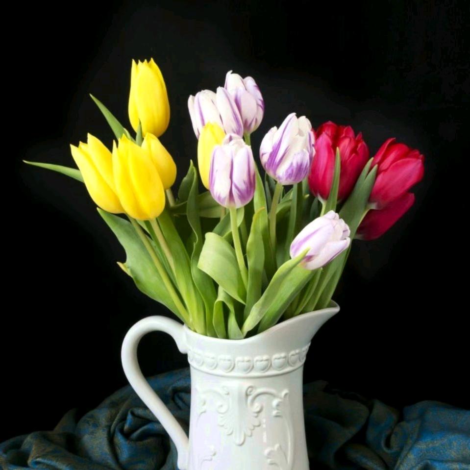 江南古镇南浔四象八牛5A景区