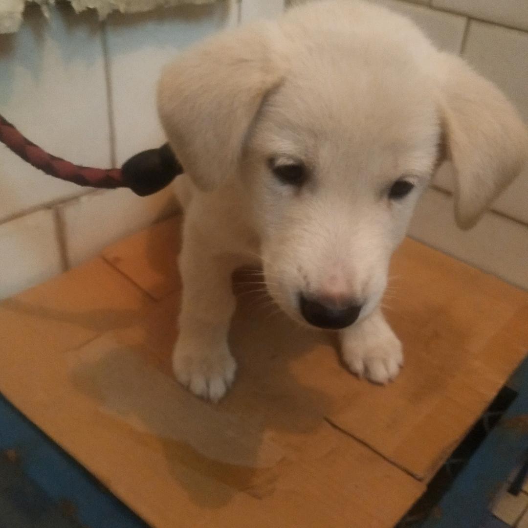 用户5822351978264杨子珍