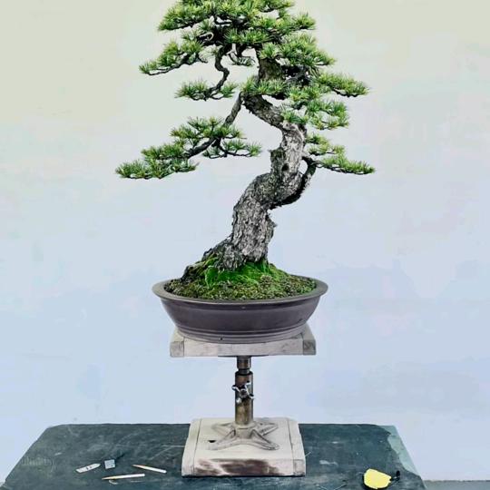 山炮